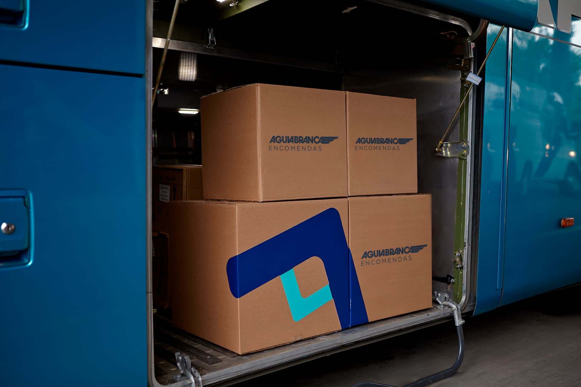 Picture of the author