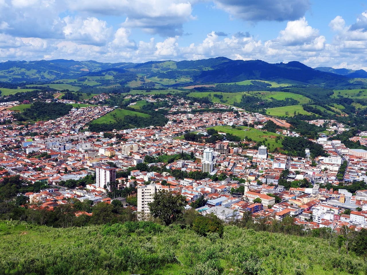 Picture of the author